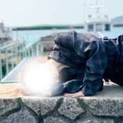 ヒメ日記 2026/02/11 09:13 投稿 りょうこ 人妻本舗愛のしずく名古屋店