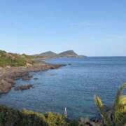 ヒメ日記 2026/03/14 12:42 投稿 りょうこ 人妻本舗愛のしずく名古屋店