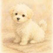 めい 今日も、、🩷 美熟女倶楽部Hip's 春日部店