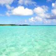 ヒメ日記 2025/12/17 15:59 投稿 はな オナクラ大人女子