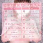 あいり 今週と来週🌷 丸妻 池袋店