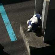 ヒメ日記 2025/09/10 19:54 投稿 かな クレイジーキャバクラ パニック