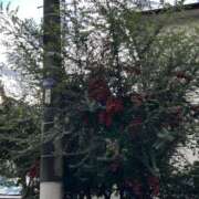 ヒメ日記 2025/10/27 19:43 投稿 かな クレイジーキャバクラ パニック