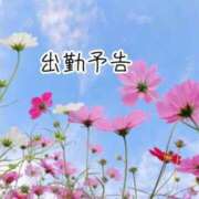 ヒメ日記 2025/11/20 11:16 投稿 聖璃(せり) カリビアンマッサージ 天使のゆびさき 岡山店