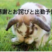 ヒメ日記 2025/11/28 14:44 投稿 聖璃(せり) カリビアンマッサージ 天使のゆびさき 岡山店