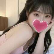 ヒメ日記 2025/11/24 12:44 投稿 ぶぶ 私のブラジャーどこいった？