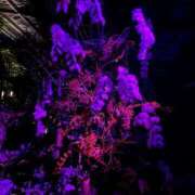 ヒメ日記 2025/09/21 21:41 投稿 ノゾミ Aroma De Pari（アロマ・デ・パリ）