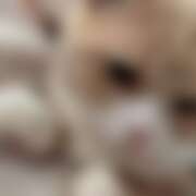 ヒメ日記 2025/09/17 23:05 投稿 のあ 素人巨乳ちゃんこ「東千葉店」