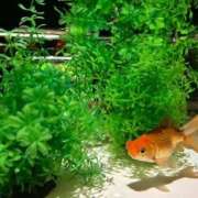 ヒメ日記 2025/09/18 12:01 投稿 佐竹　るり 渋谷ベリー