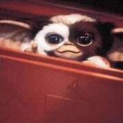 ヒメ日記 2025/10/09 11:26 投稿 すい THE ESUTE HOUSE 柴田