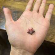 ヒメ日記 2026/02/09 13:18 投稿 すい THE ESUTE HOUSE 柴田