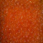 ヒメ日記 2026/02/12 20:30 投稿 すい THE ESUTE HOUSE 柴田