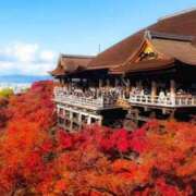 ヒメ日記 2025/11/30 21:40 投稿 桃谷　ゆま 京都出張メンズエステChou Chou（シュシュ)