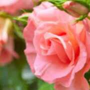 ヒメ日記 2025/09/24 12:47 投稿 ゆず 取手人妻快速