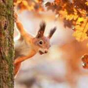 ヒメ日記 2025/10/03 18:19 投稿 ゆず 取手人妻快速