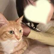 ヒメ日記 2025/10/06 16:20 投稿 すい 池袋添い寝女子