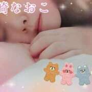 ヒメ日記 2025/09/09 06:38 投稿 柴崎なおこ 月の真珠-新宿-