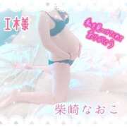 ヒメ日記 2025/09/10 16:08 投稿 柴崎なおこ 月の真珠-新宿-