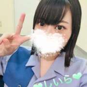 ヒメ日記 2025/09/17 17:18 投稿 しいら クラブレア南大阪