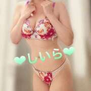 ヒメ日記 2025/09/22 02:51 投稿 しいら クラブレア南大阪