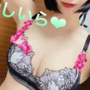 ヒメ日記 2025/09/24 04:41 投稿 しいら クラブレア南大阪