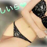 ヒメ日記 2025/10/11 18:02 投稿 しいら クラブレア南大阪