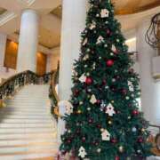 ヒメ日記 2025/12/04 22:59 投稿 モカ 浜松駅前ちゃんこ