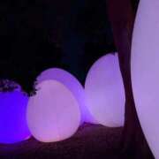 ヒメ日記 2025/12/07 10:49 投稿 モカ 浜松駅前ちゃんこ