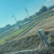 ヒメ日記 2025/12/17 12:29 投稿 モカ 浜松駅前ちゃんこ