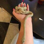 ヒメ日記 2026/01/23 22:19 投稿 モカ 浜松駅前ちゃんこ