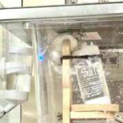 ヒメ日記 2025/10/28 21:26 投稿 水城すみれ 皇帝別館（こうていべっかん）