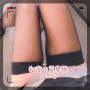 ヒメ日記 2025/09/11 11:23 投稿 うた若奥 未熟な若奥