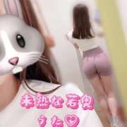 ヒメ日記 2025/09/30 12:23 投稿 うた若奥 未熟な若奥