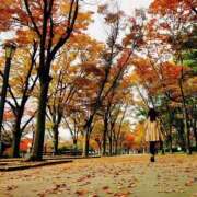 ヒメ日記 2025/11/22 12:33 投稿 うた若奥 未熟な若奥