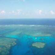 あゆ お初です🥹💕 南国ラブストーリー宮古島