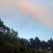 ヒメ日記 2026/08/09 01:19 投稿 ここな【進学割】 桜坂