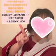 ヒメ日記 2026/08/16 10:30 投稿 ここな【進学割】 桜坂