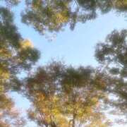 ヒメ日記 2025/11/12 11:55 投稿 るる ナチュラルプリンセス