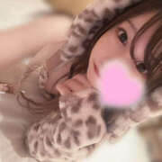 ヒメ日記 2025/11/08 19:00 投稿 みや 姫コレクション