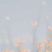 ヒメ日記 2025/09/07 10:03 投稿 新人・咲良(さら) グランドオペラ福岡