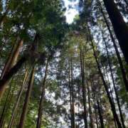 ヒメ日記 2025/09/08 14:08 投稿 新人・咲良(さら) グランドオペラ福岡