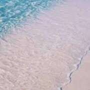 ヒメ日記 2025/09/09 17:41 投稿 新人・咲良(さら) グランドオペラ福岡