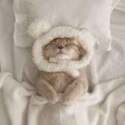 ヒメ日記 2025/09/11 03:31 投稿 新人・咲良(さら) グランドオペラ福岡