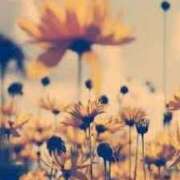 ヒメ日記 2025/09/11 07:22 投稿 新人・咲良(さら) グランドオペラ福岡