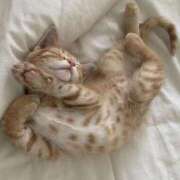 ヒメ日記 2025/10/14 07:21 投稿 新人・咲良(さら) グランドオペラ福岡