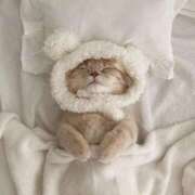 ヒメ日記 2025/11/09 07:41 投稿 新人・咲良(さら) グランドオペラ福岡