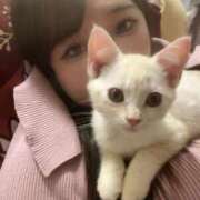 ヒメ日記 2025/09/06 04:36 投稿 うた どMばすたーず すすきの店