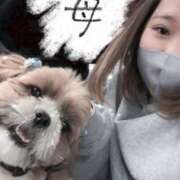 ヒメ日記 2025/09/22 00:39 投稿 うた どMばすたーず すすきの店