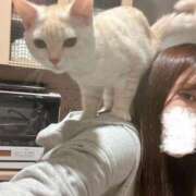 ヒメ日記 2025/09/23 02:14 投稿 うた どMばすたーず すすきの店