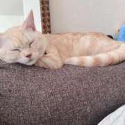 ヒメ日記 2025/10/20 20:47 投稿 うた どMばすたーず すすきの店